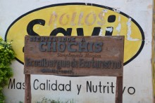  Bolivie 2016 Chochis