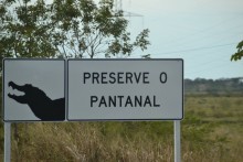  Brésil 2016 Pantanal