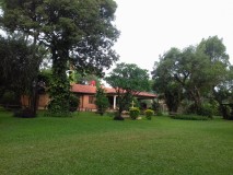 Paraguay 2015 Luque  Quinta Tiffany